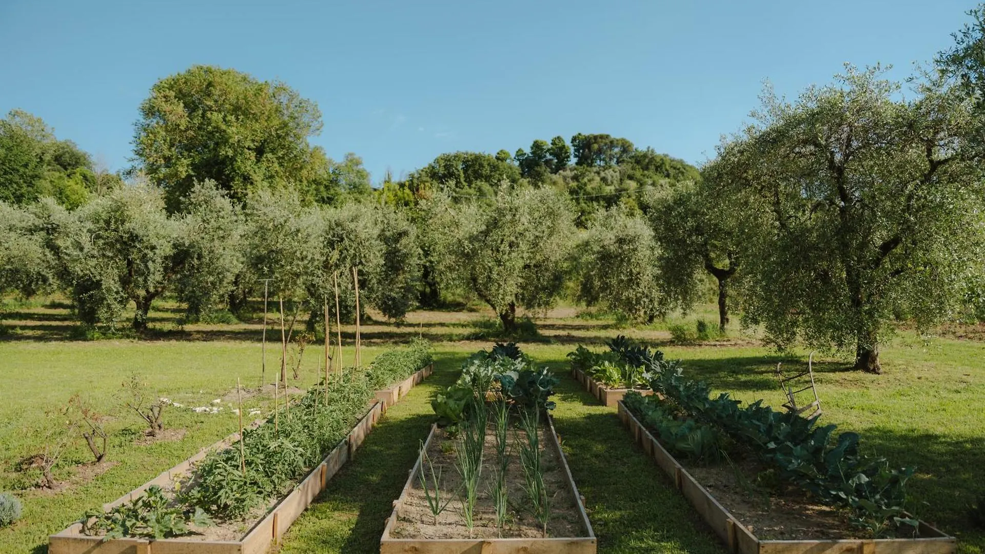 Aparthotel L'Angelica Corte Palazzina, Country Retreat Salo